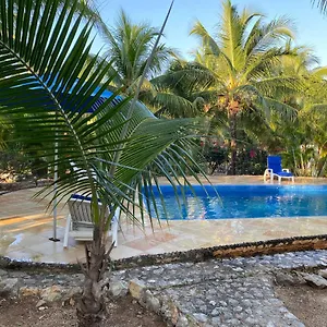 Tortugas , Akumal Mexiko